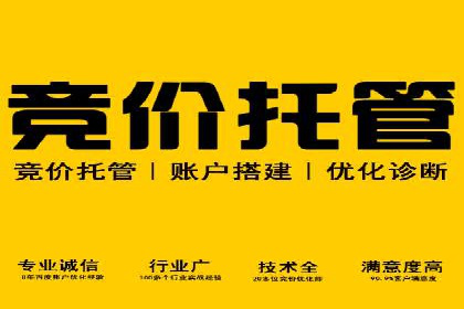 搜索引擎营销（SEM）的创意与执行——以多个行业成功案例为教学